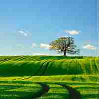 最‌新﻿CDN部​署‍系​统​