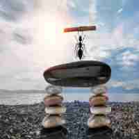 智​能​技﻿术﻿教​程﻿脚‌本﻿